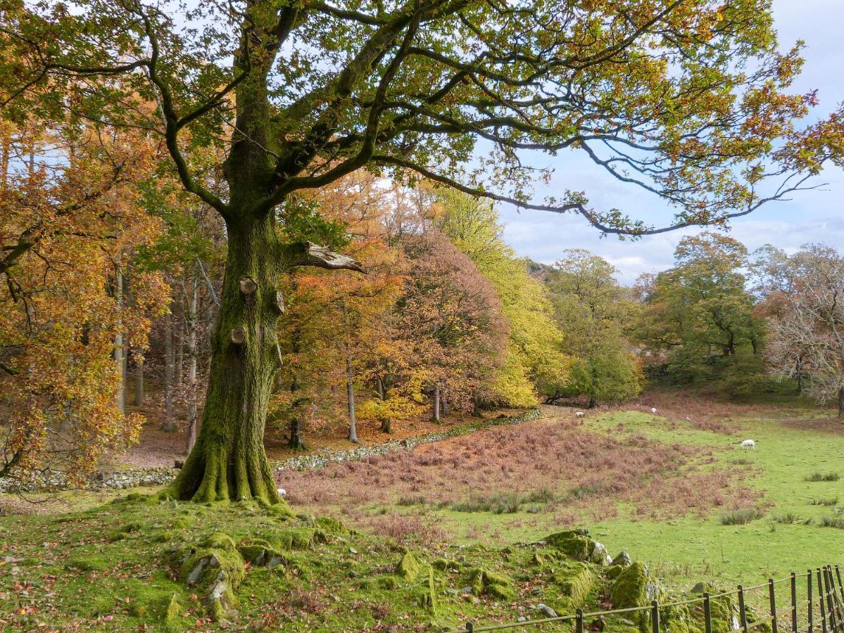 Yew - Woodland Cottages Bowness-on-Windermere Buitenkant foto